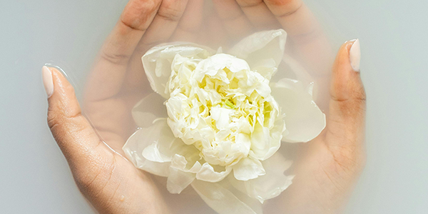 The Complete Guide to Luxurious Body Care with Walex Beauty